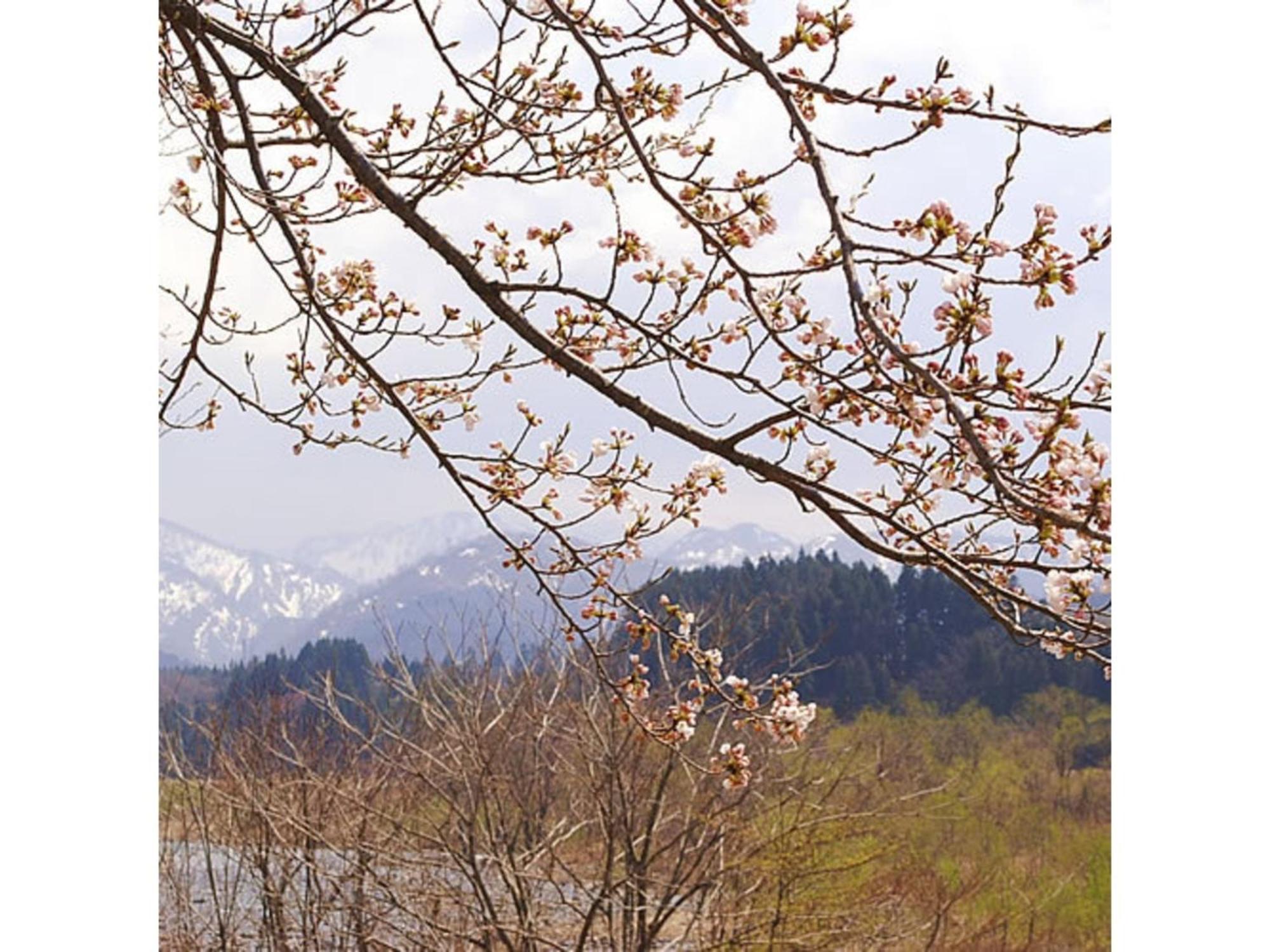 Shintainai Onsen Royal Tainai Park Hotel - Vacation Stay 90212V المظهر الخارجي الصورة