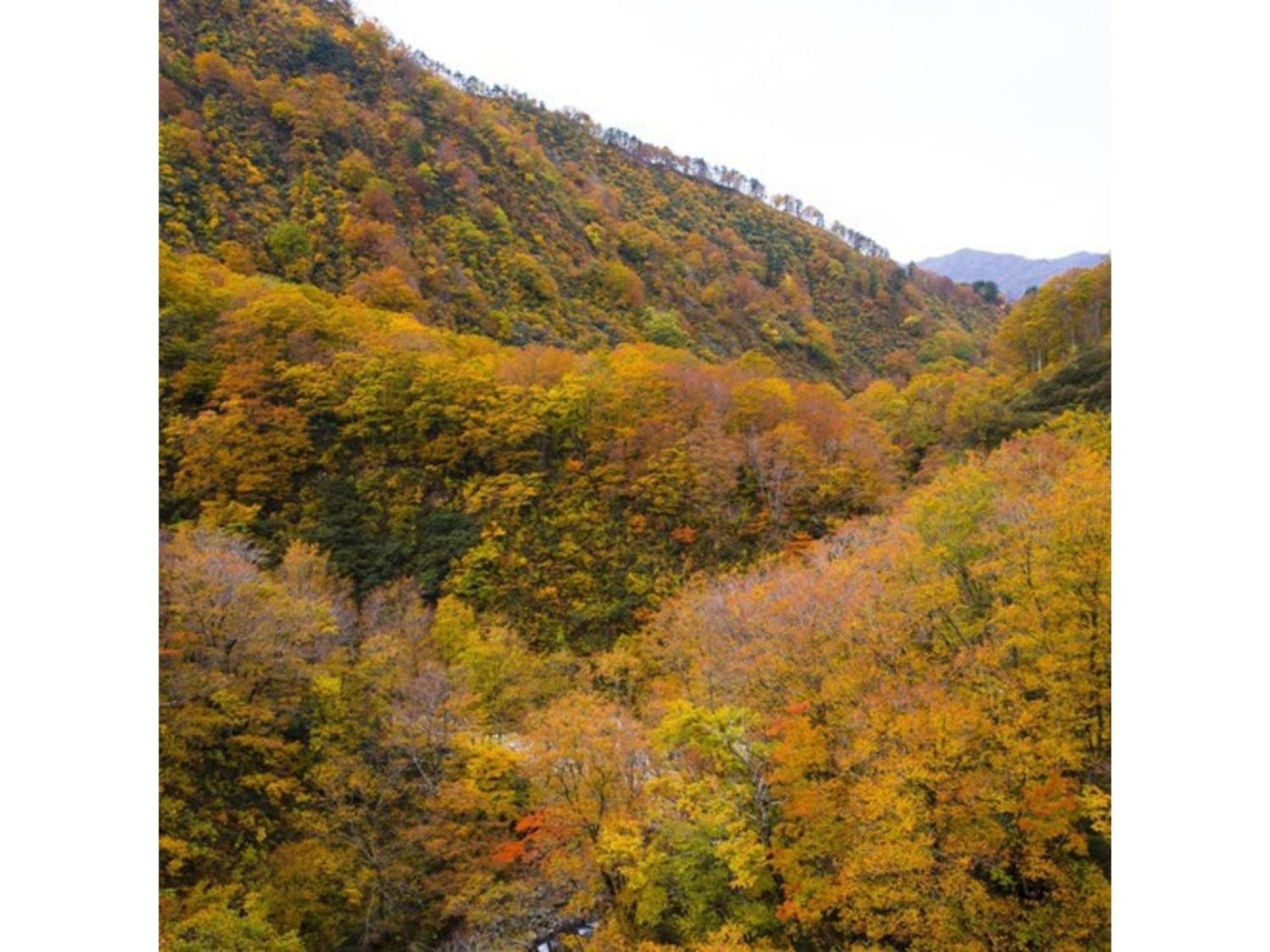 Shintainai Onsen Royal Tainai Park Hotel - Vacation Stay 90212V المظهر الخارجي الصورة