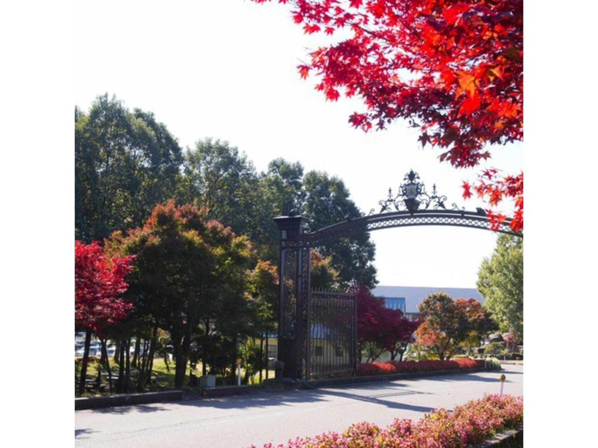 Shintainai Onsen Royal Tainai Park Hotel - Vacation Stay 90212V المظهر الخارجي الصورة